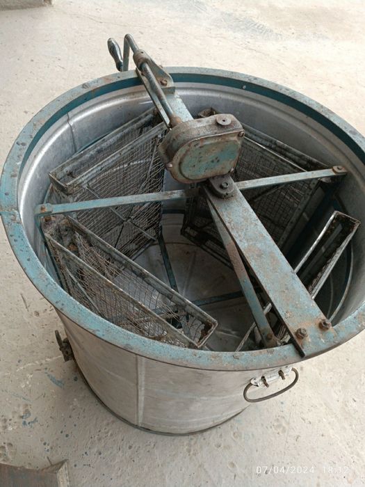 Медагонка российский