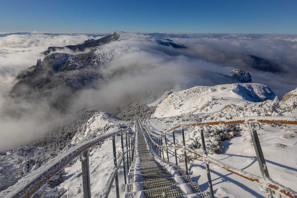 obiectiv Canon RF 16mm f2.8 STM