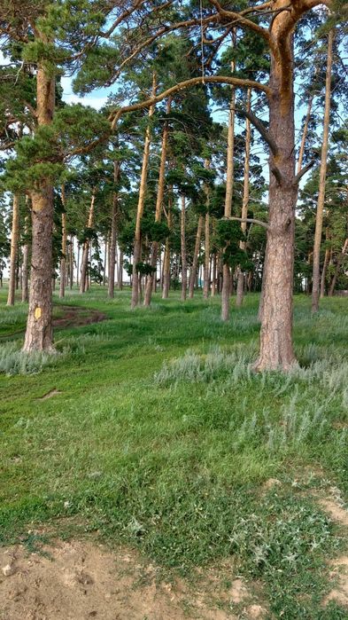 Продам участок 50 соток