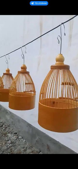 Италия бедана учун кафас italiya bedona uchun qafas тур ковок