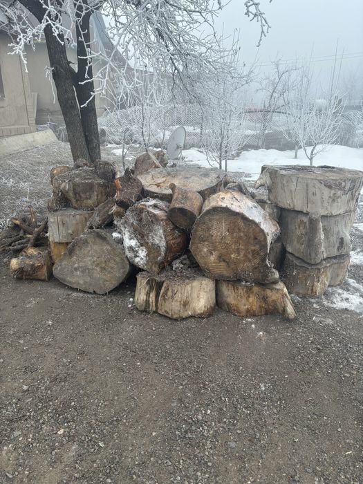 Дровы,Отындар,Томарлар