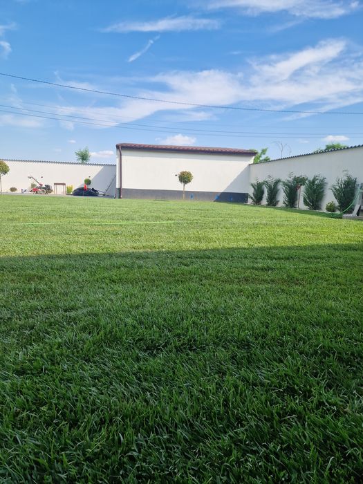 Gazon Rulou Sisteme de Irigare