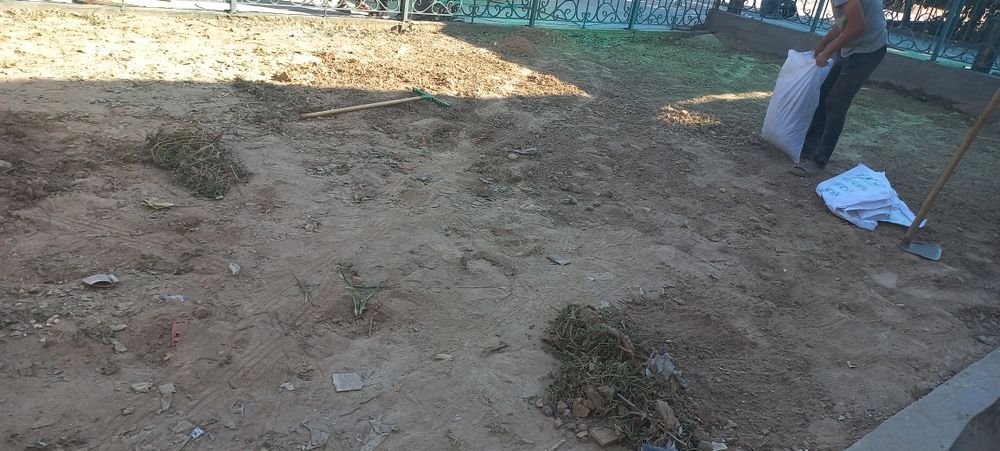 посев газон и семена газона gazon urugi газон уруги