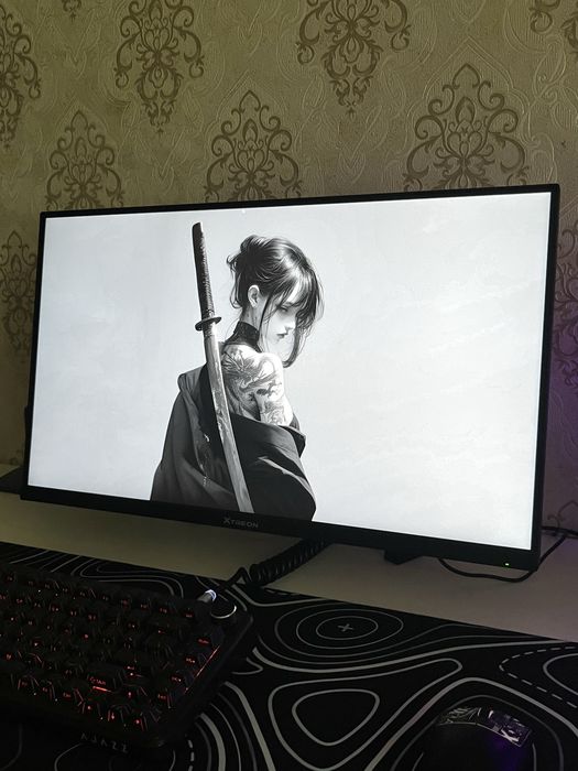 Монитор 320Гц с Кронштейном XTREON 24.5 диагональ