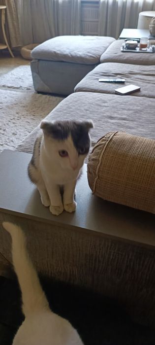 Очень ласковый мальчик