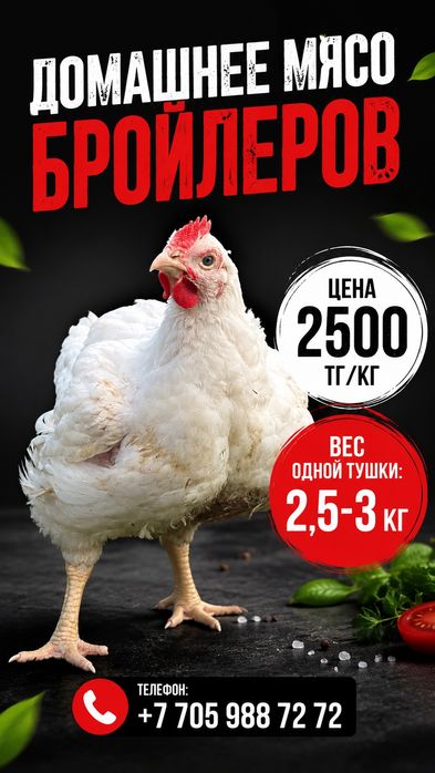 Продам брлйлеров