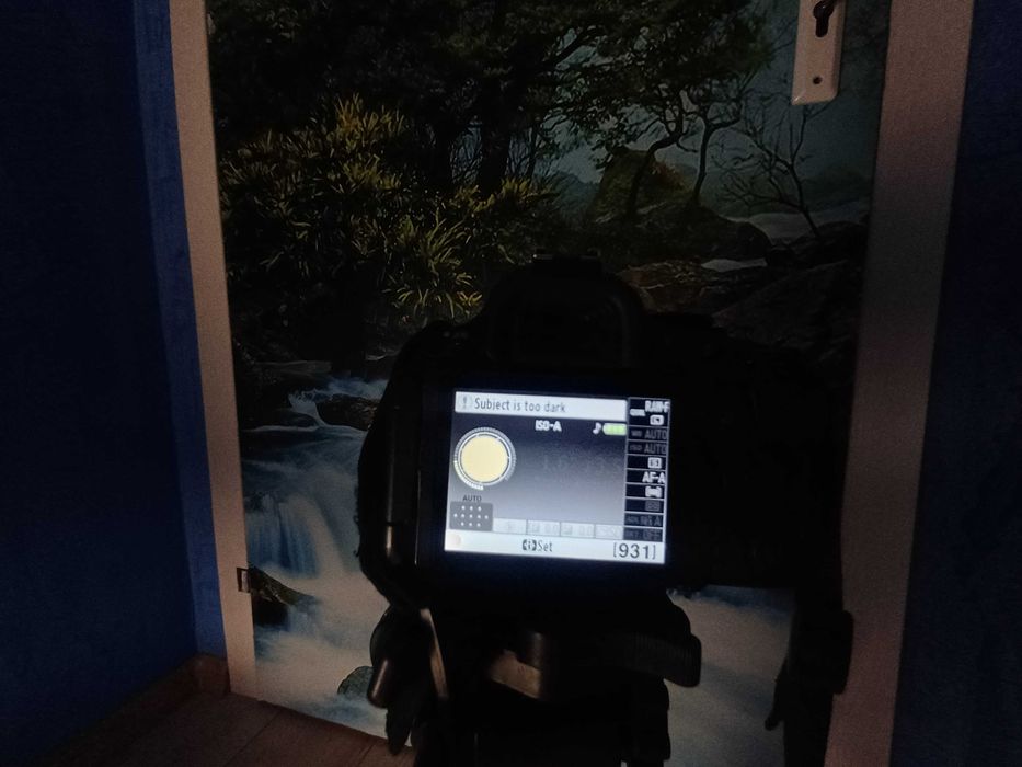 Фотоапарат  Nikon D5100