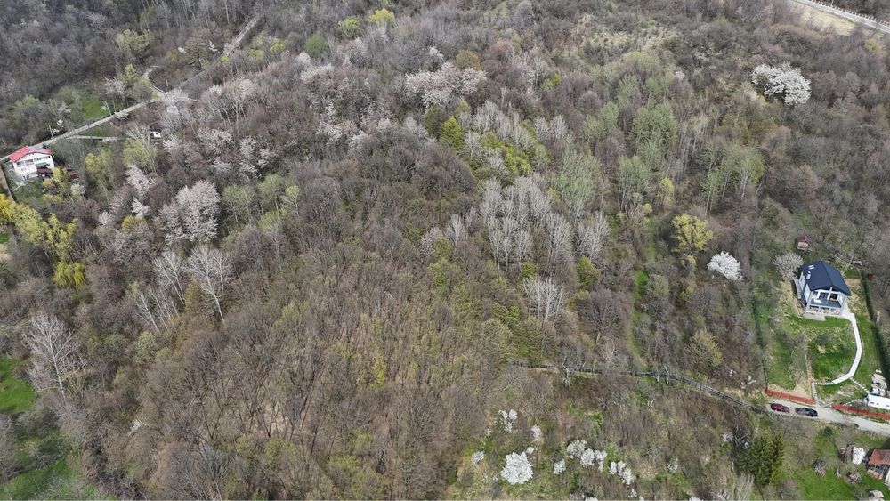 Teren 4700 mp Cornu de Jos(langa Campina)Prahova