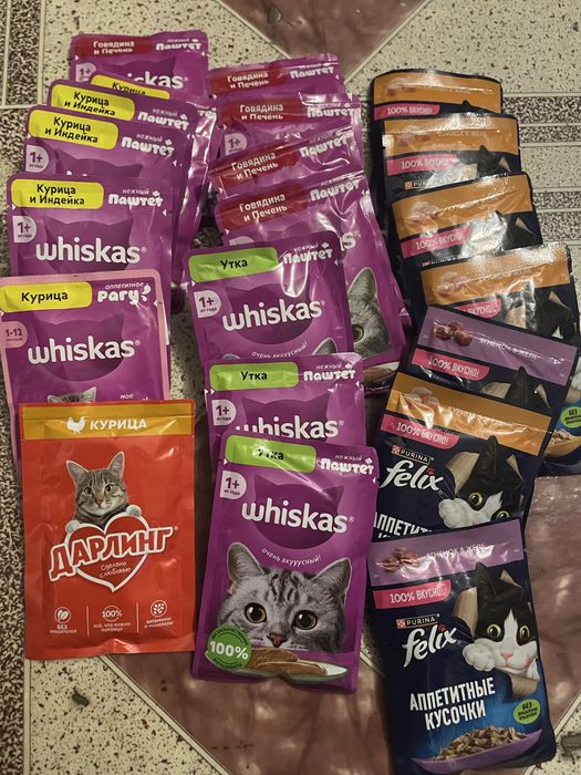 Корма для кошек продам