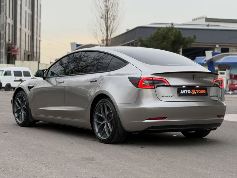 Tesla Model 3 Performance