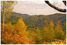 16286 m2 pasuni la 1.2 euro/m2 in Runcu Mare Hunedoara