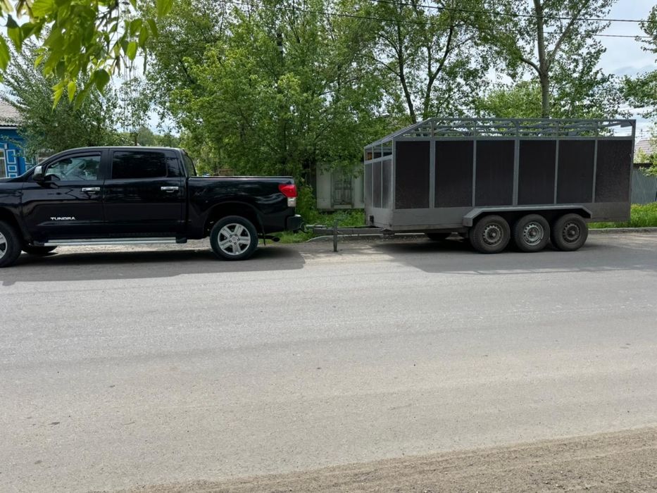 Перевозка скота. 200 тг/км