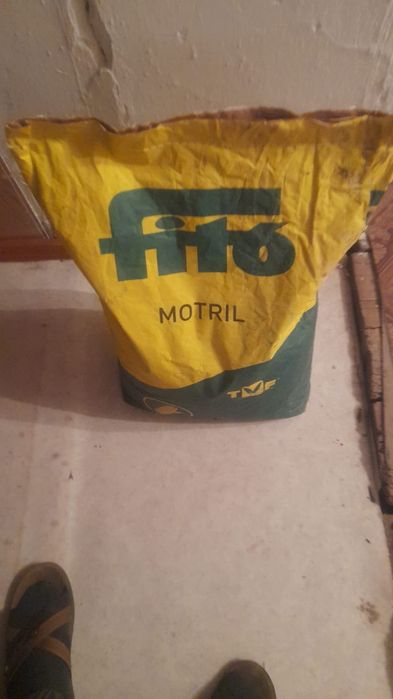 Семена кукуруза на селус