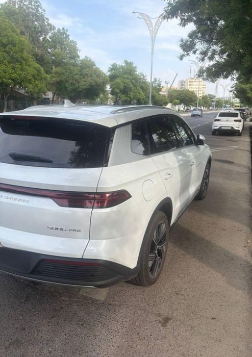 Yuan up Byd Song pro dmi-chempion 110 full 2025