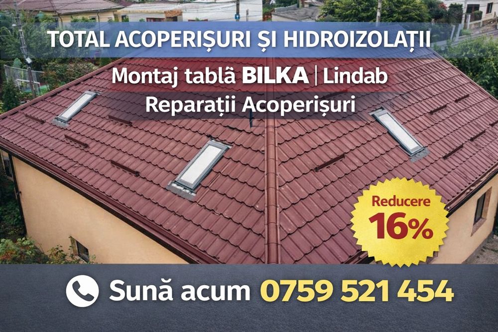 Acoperișuri si Reparații