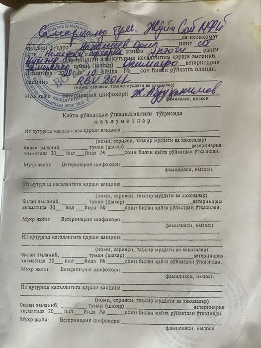 Nemeschkiy Apcharka sotiladi