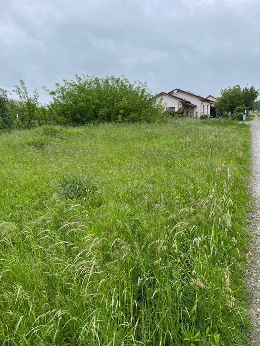 Teren Intravilan Catamaresti Deal 700 mp