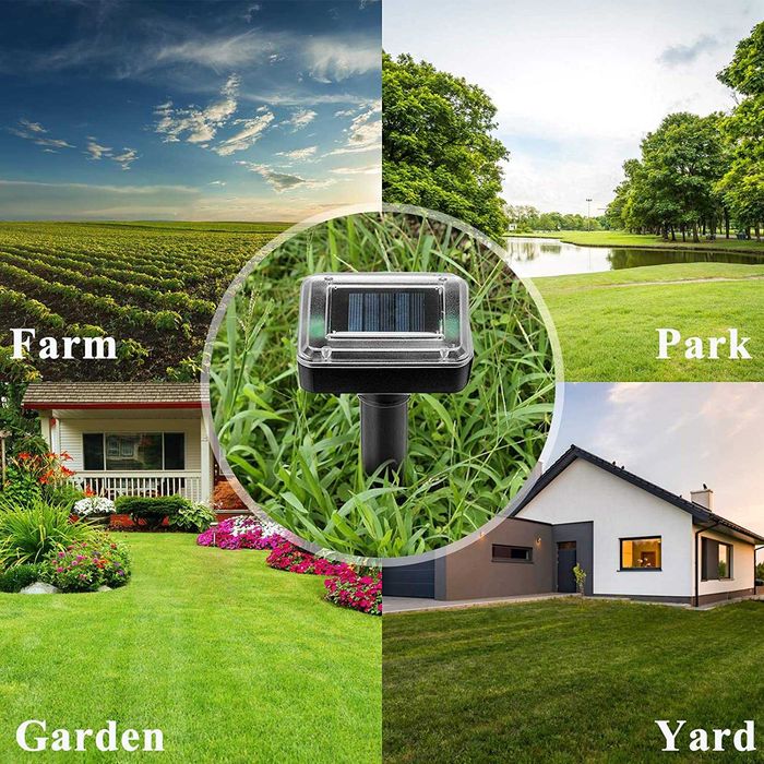 4 Уреда против змии, Къртици и Сляпо куче