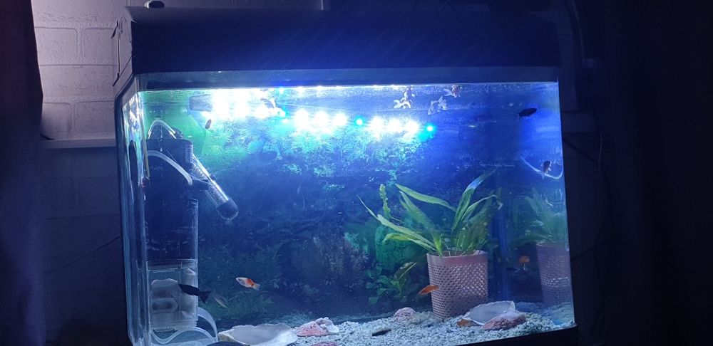 Аквариум продам заводской