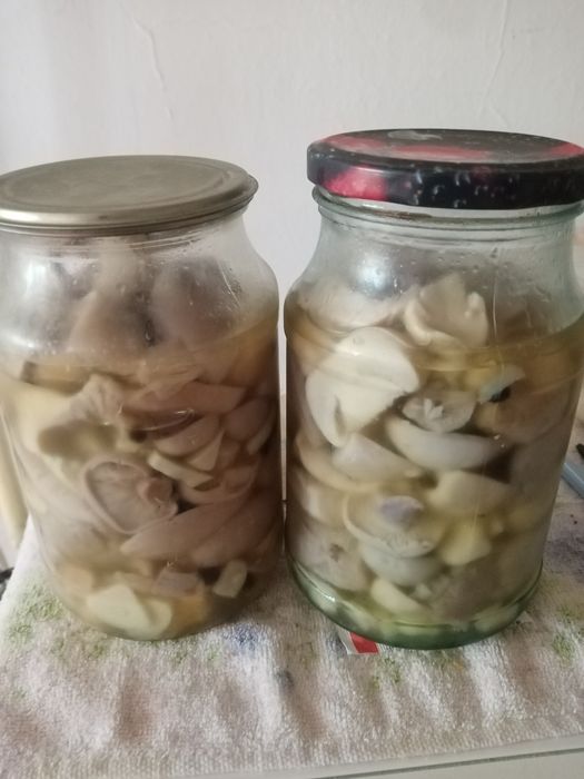 Грибы солёные, по домашнему