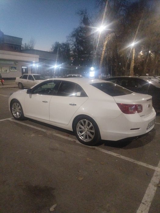 Malibu 1 kraska tozza