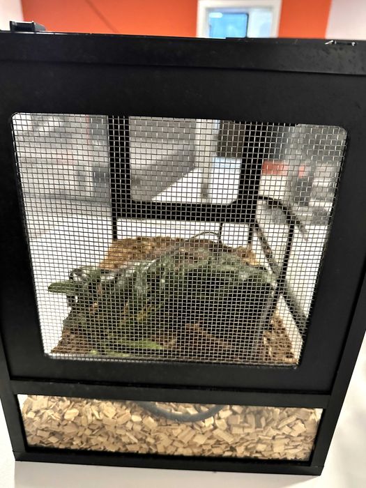 Terariu Reptile, Resun 400, 43.8X27.8X34CM