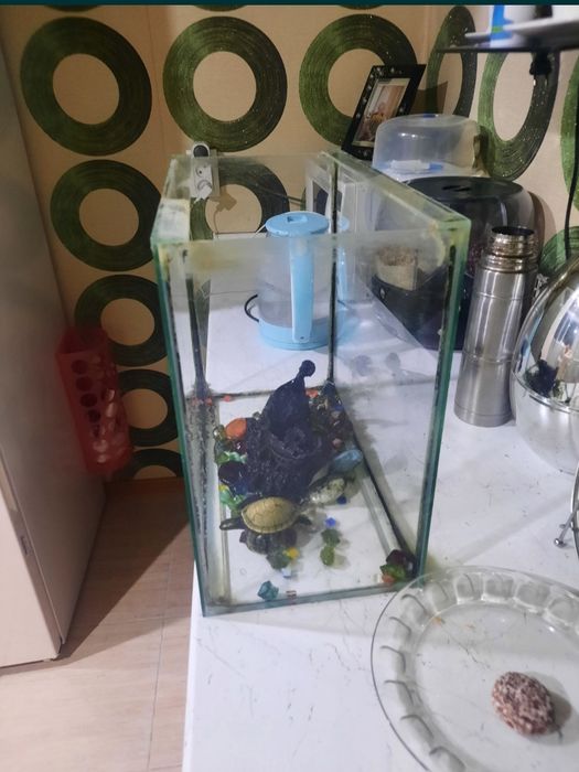 Аквариум для рыбок 25 л