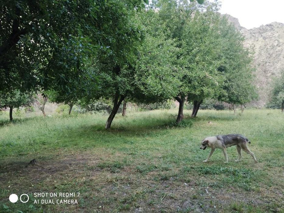 Koʻchmas mulk yer maydoni sotiladi