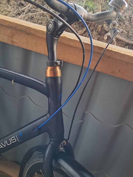 Bicicleta batavaus