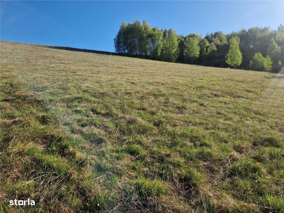 RECO, teren intravilan, Zona Sinteu, Bihor