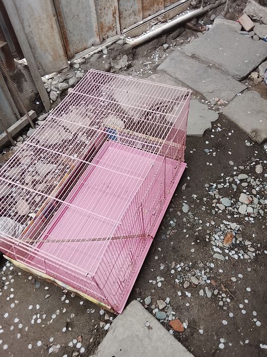 Клетка для питомцев