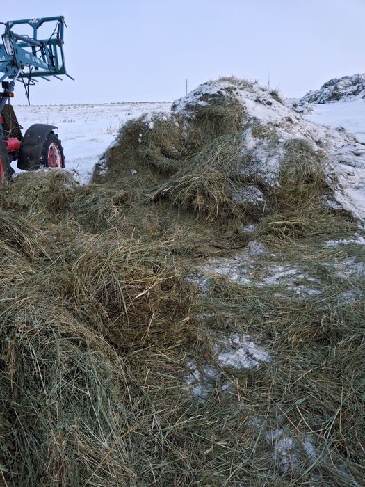 Продам сено в тюках