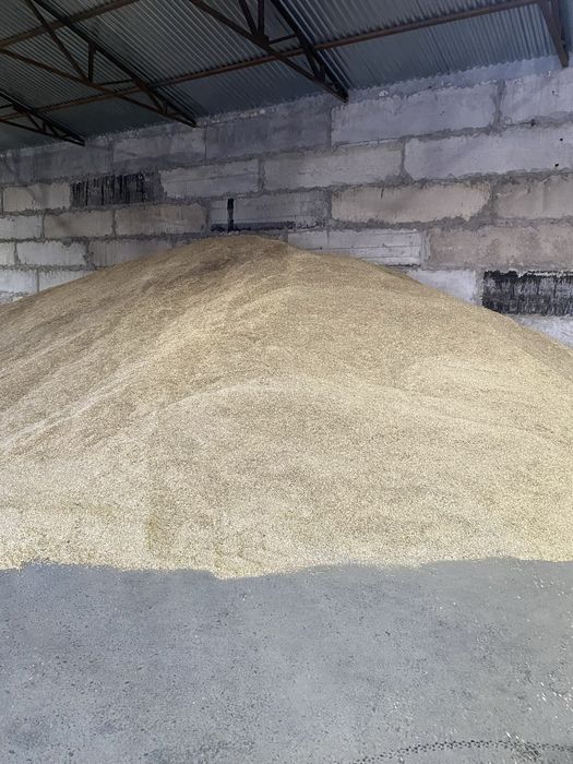 Сұлы сатамын, Продам овес