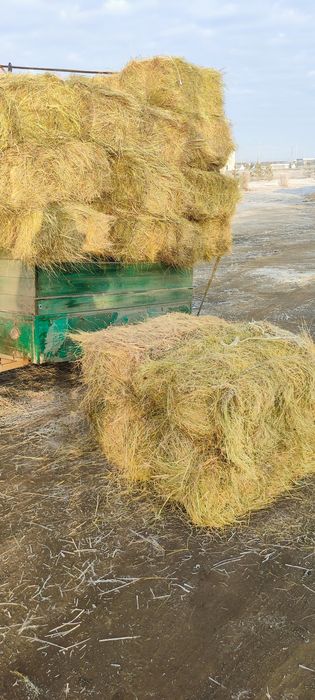 Сено , разнотравие