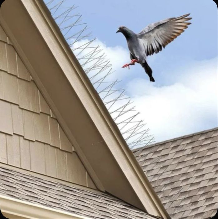 Противо-Усадочные Шипы от птиц