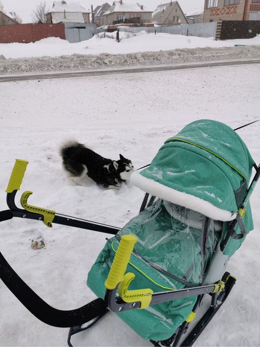 Детские Санки-коляска Nika 7-7/3