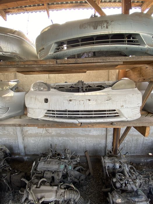 Ноускаты(мини-морды) Камри 30-35