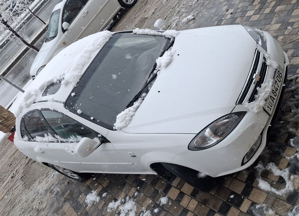 Жентра 2022. 3-поз краска тоза