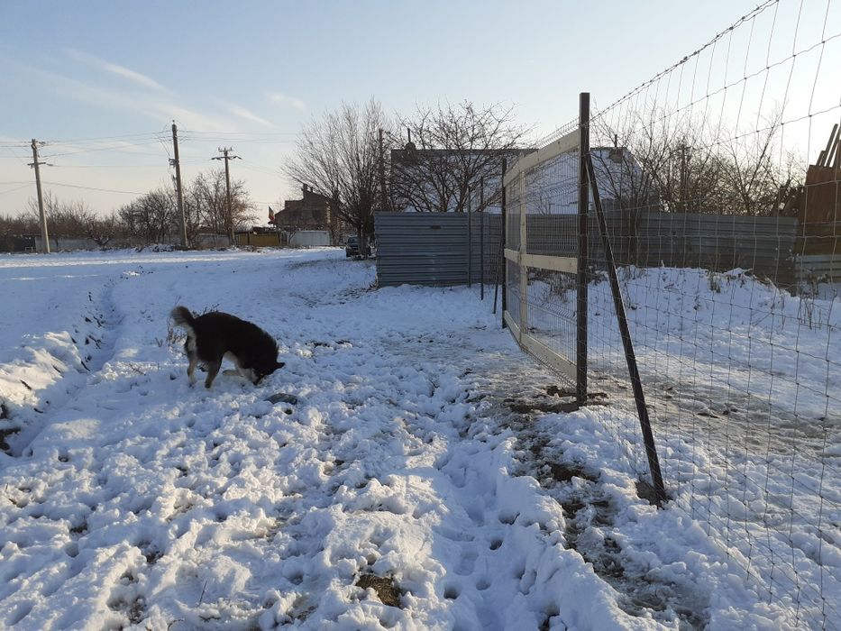 Teren intravilan 500 mp in Glina, Ilfov, langa Bucuresti