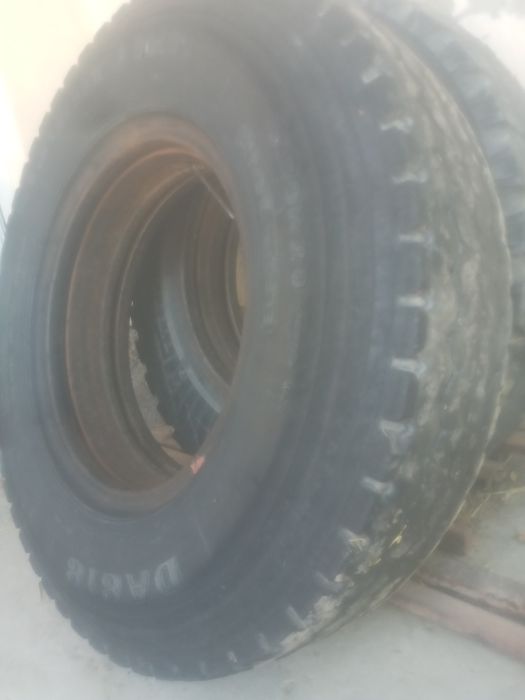 Gaz 53 uchun 260 240 balon bor