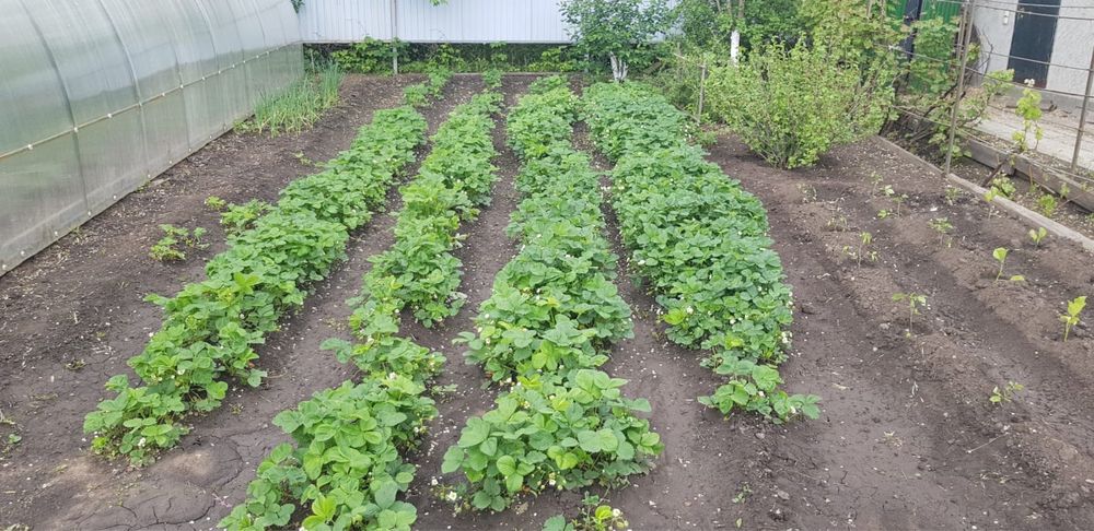 Продам дачу с/о Вагонник