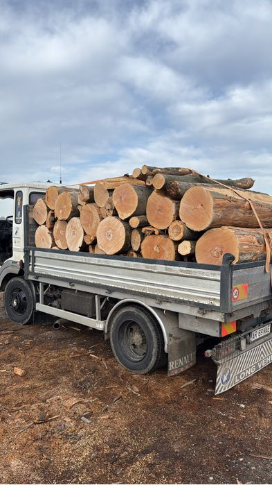 Lemne de foc esenta tare