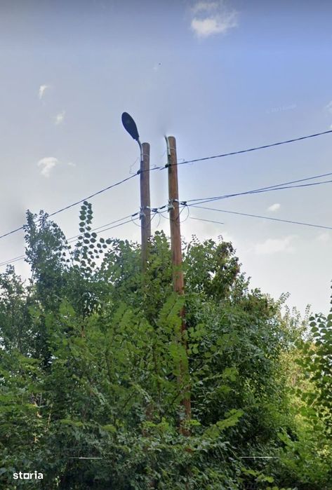 Nou | Teren Intravilan | 1065 mp | Lângă Pădure / Siliștea Snagovului