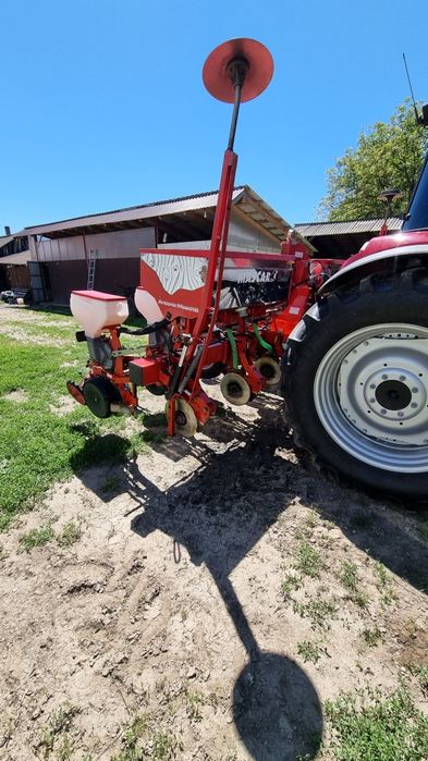 Semanatoare prasitoare  maschio/mascar  maxi 5