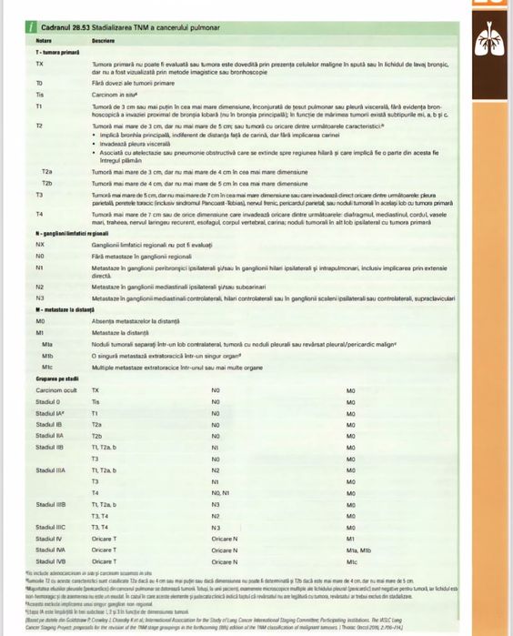 Meditatii Pregatire pentru Examenul de Rezidentiat 2026