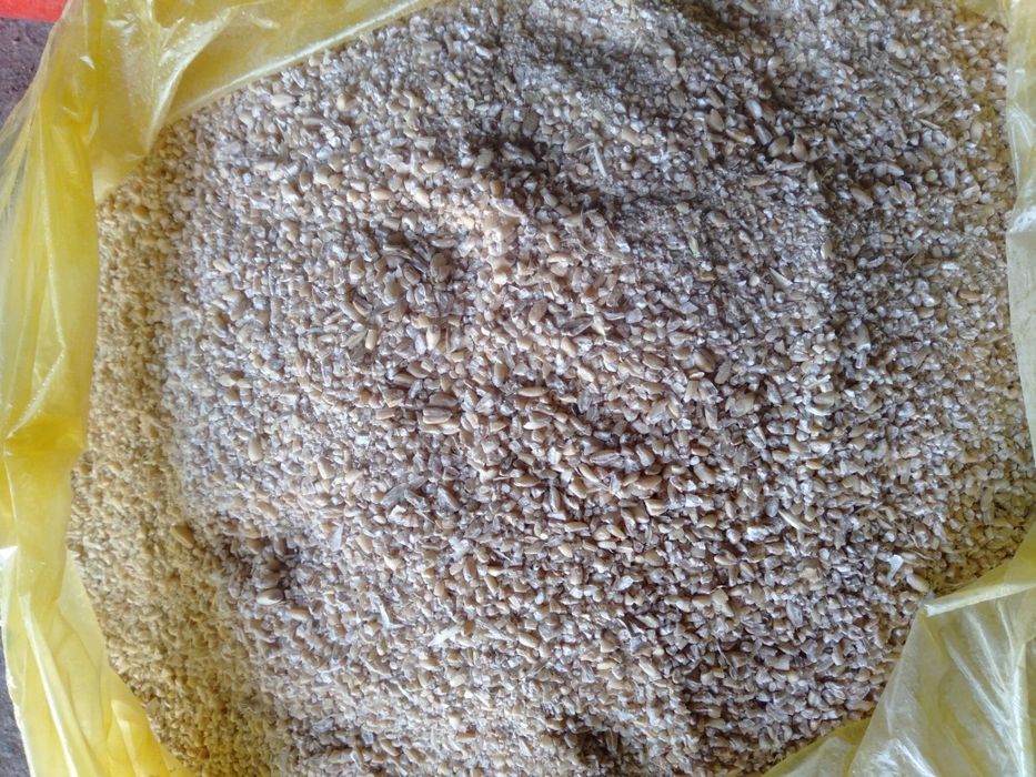 Дробленная пшеница Костанай