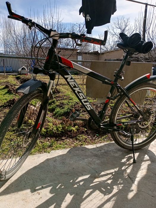 Velik sotiladi holati yaxshi