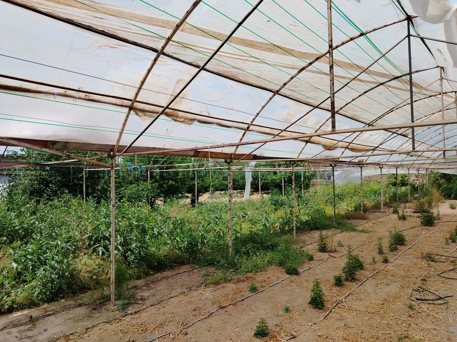 Parnik parnik parnik