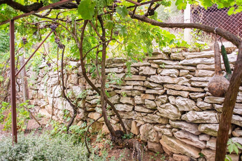 Продава се Къща в с. Типченица, Област Враца - 194 кв.м за 181 €/кв.м - Снимка #5