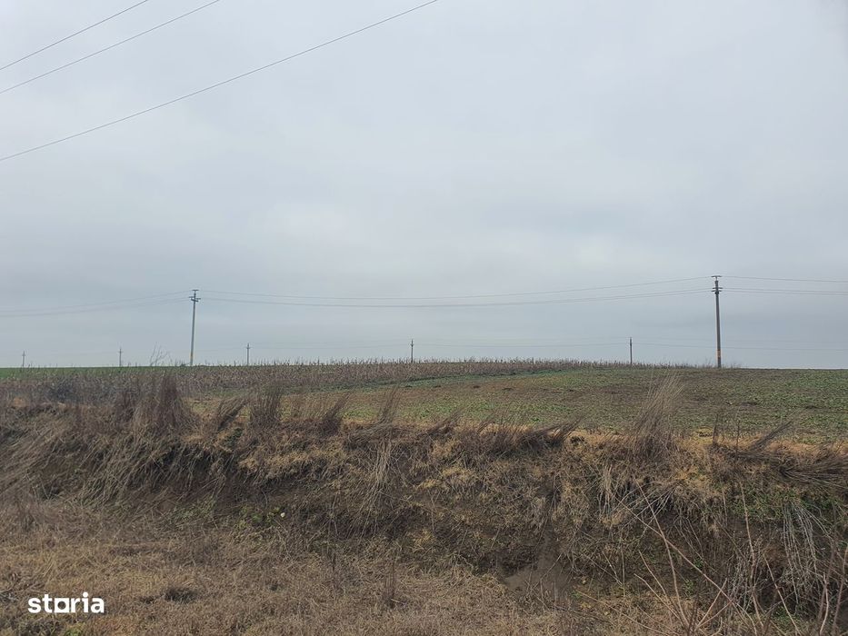 Teren agricol de vânzare, 140.000 mp , Albesti- Constanta